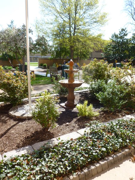 VA Garden April 2013 060